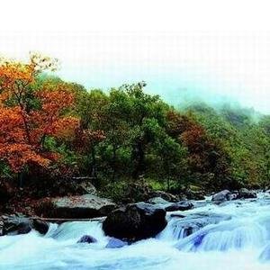 五常凤凰山森林公园的空中花园的十大奇观