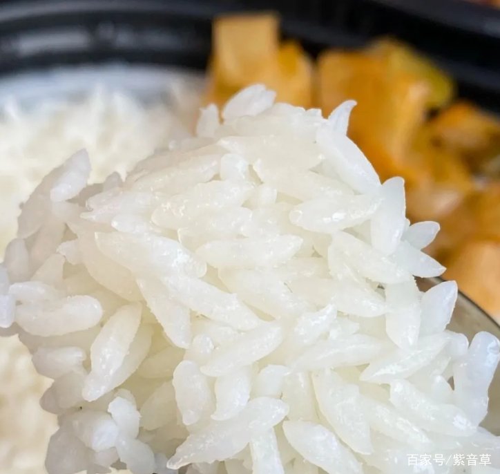 自热米饭里的米是普通大米吗？
