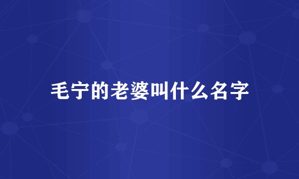 毛宁的老婆叫什么名字