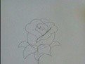 如何画玫瑰花 玫瑰花简笔画步骤图