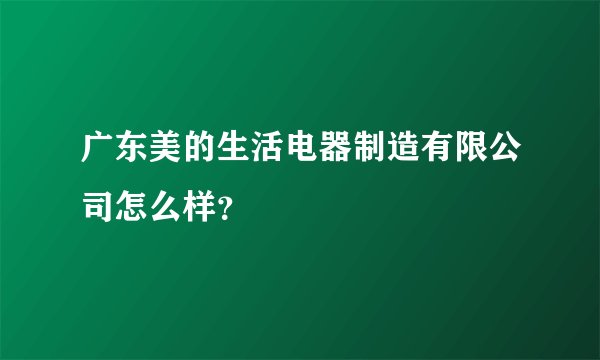 广东美的生活电器制造有限公司怎么样？