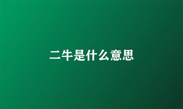 二牛是什么意思