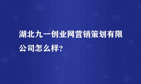 湖北九一创业网营销策划有限公司怎么样？