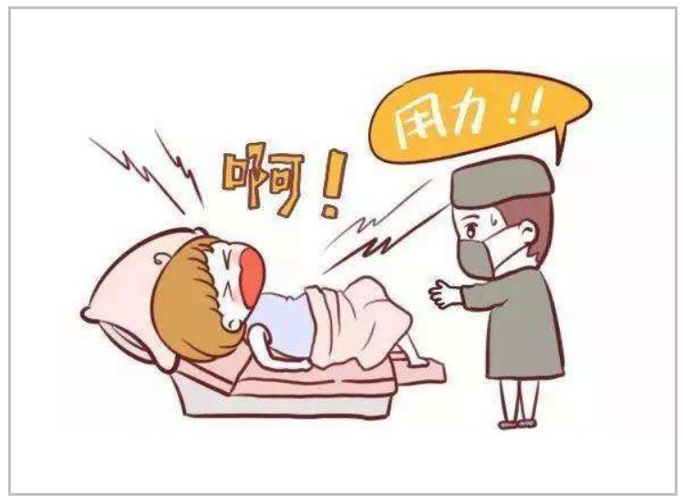 人体的十二级痛