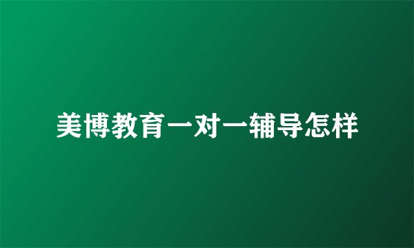 美博教育一对一辅导怎样