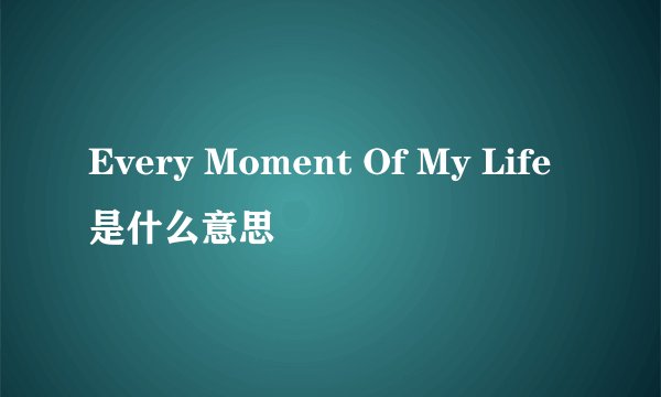 Every Moment Of My Life是什么意思