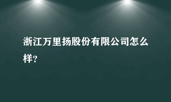 浙江万里扬股份有限公司怎么样？