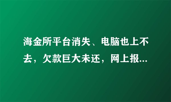 海金所平台消失、电脑也上不去，欠款巨大未还，网上报案可以吗？