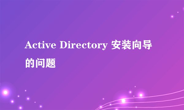 Active Directory 安装向导的问题