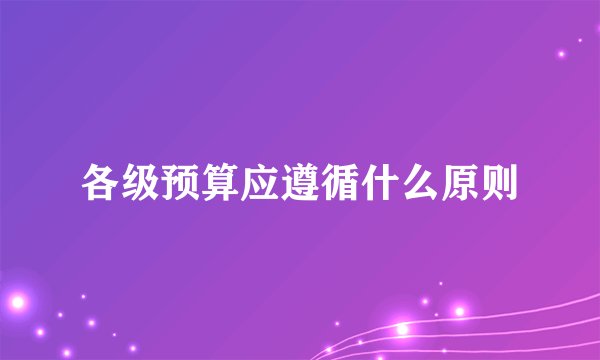 各级预算应遵循什么原则