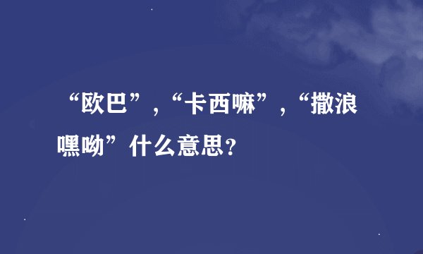 “欧巴”,“卡西嘛”,“撒浪嘿呦”什么意思？