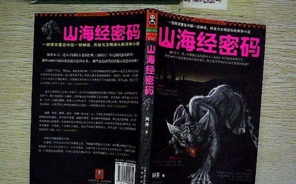 山海经密码结局看不懂啊