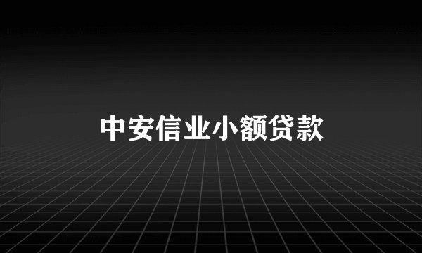 中安信业小额贷款