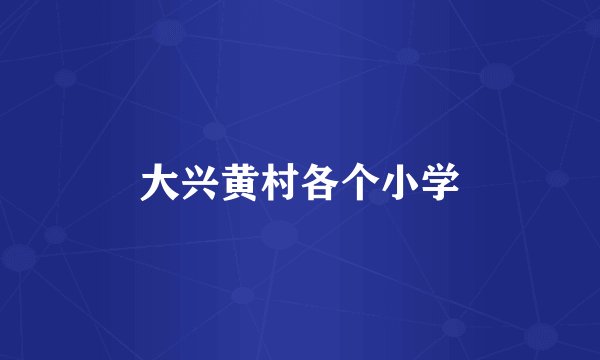 大兴黄村各个小学