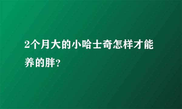 2个月大的小哈士奇怎样才能养的胖？
