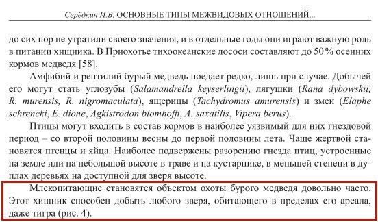 老虎和北极熊谁厉害？