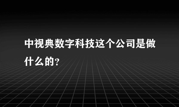 中视典数字科技这个公司是做什么的？