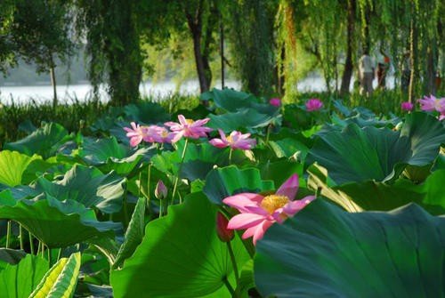 夏天来了 补充句子