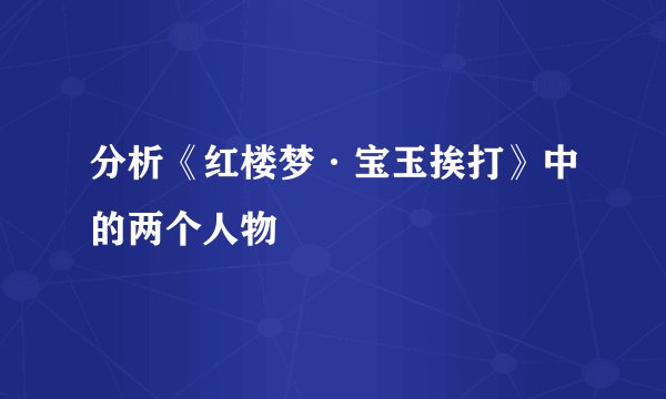 分析《红楼梦·宝玉挨打》中的两个人物