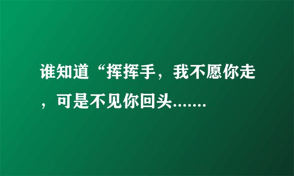 谁知道“挥挥手，我不愿你走，可是不见你回头......”的歌名是什么啊？？？谁唱的啊？