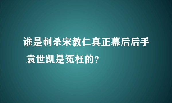 谁是刺杀宋教仁真正幕后后手 袁世凯是冤枉的？
