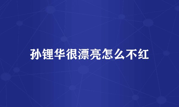 孙锂华很漂亮怎么不红