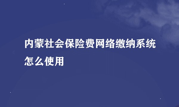 内蒙社会保险费网络缴纳系统怎么使用
