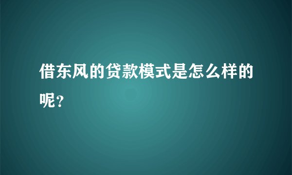 借东风的贷款模式是怎么样的呢？