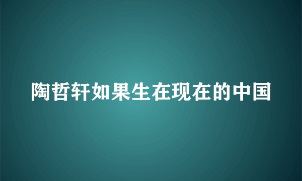 陶哲轩如果生在现在的中国