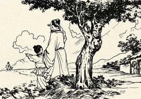 儒林外史 的主要人物的性格特点