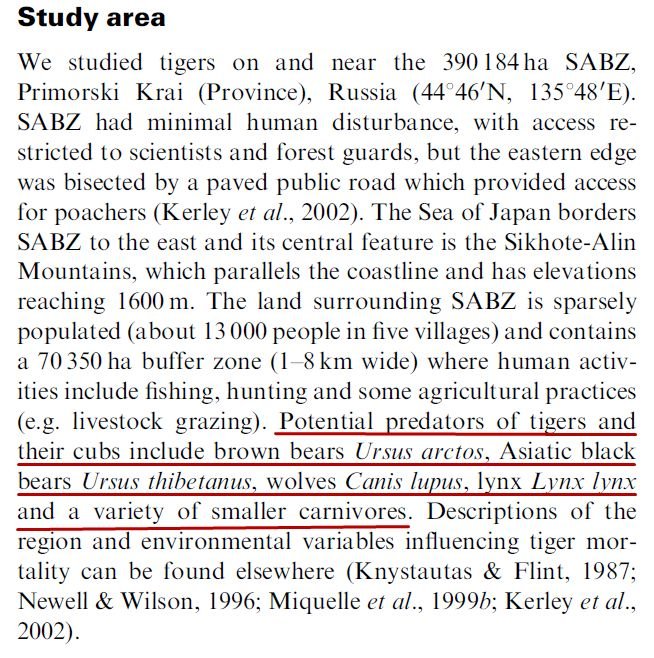 老虎和北极熊谁厉害？