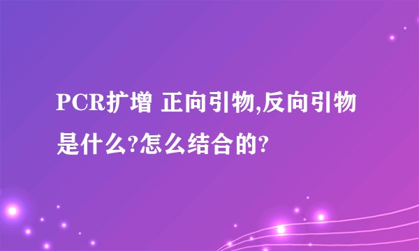 PCR扩增 正向引物,反向引物是什么?怎么结合的?