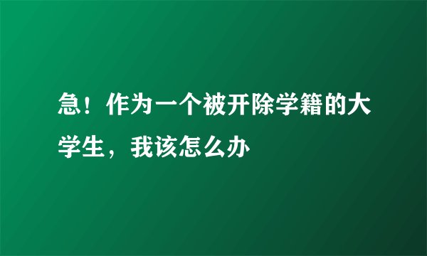 急！作为一个被开除学籍的大学生，我该怎么办