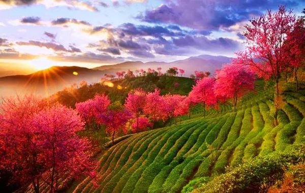 十二月份适合去那些地方旅游？