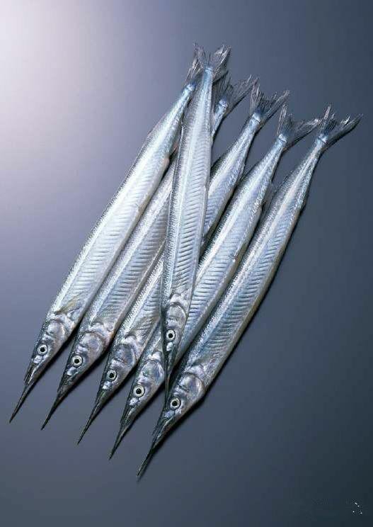 可食用海鱼的种类和简介