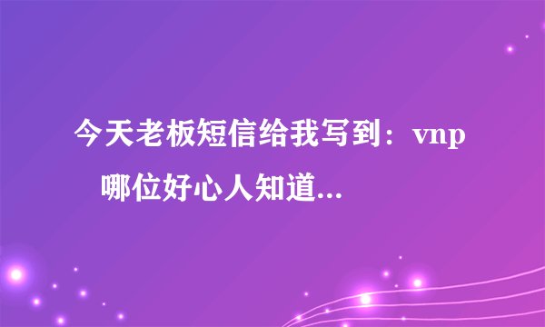 今天老板短信给我写到：vnp    哪位好心人知道是什么意思啊？谢谢！