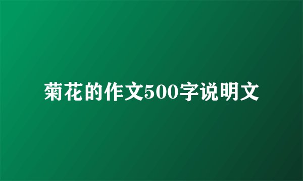 菊花的作文500字说明文