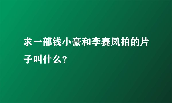 求一部钱小豪和李赛凤拍的片子叫什么？