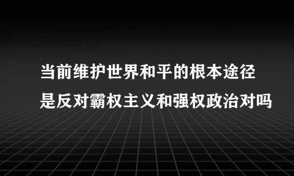 当前维护世界和平的根本途径是反对霸权主义和强权政治对吗