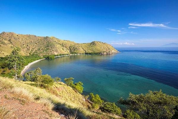 帝汶岛分属两个国家，东帝汶为何能免于被野心勃勃的印尼吞并？