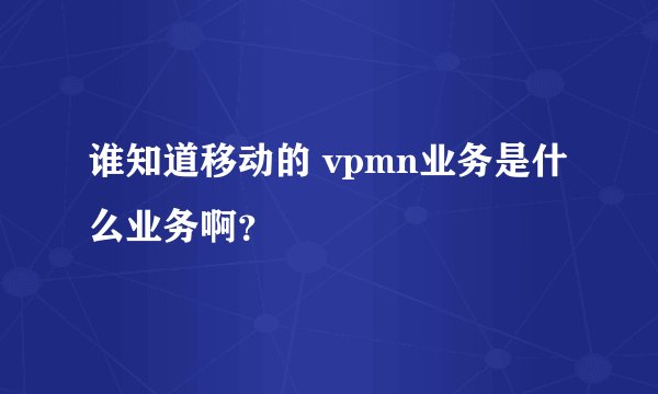 谁知道移动的 vpmn业务是什么业务啊？