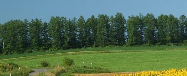 增值税专用发票开设计费税率是多少