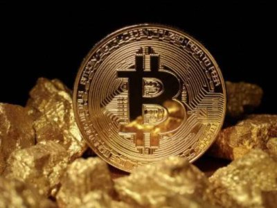 不兑现的信用货币制度有哪些特点