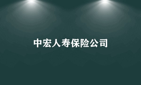 中宏人寿保险公司