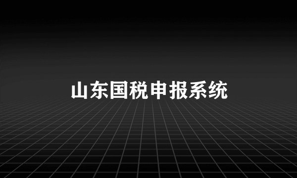 山东国税申报系统