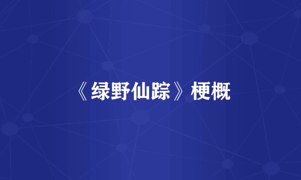 《绿野仙踪》梗概