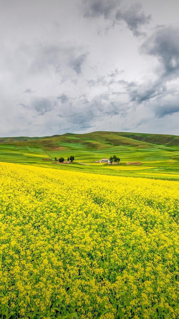 类似环评论坛，环评爱好者，环保之家论坛的查询环评信息的网站平台有多少个，能不能谁帮忙例举出来？