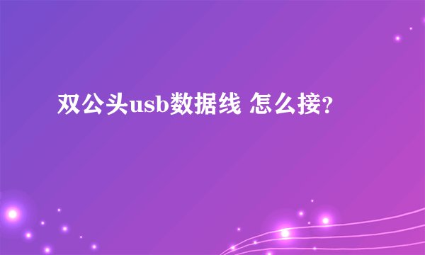 双公头usb数据线 怎么接？