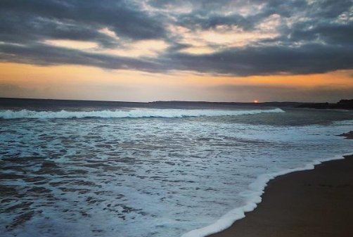 归雁洛阳边的归什么意思