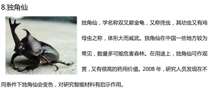 20种常见的昆虫名字和图？